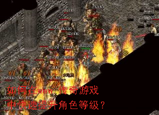 �����www.������Ϸ�п���������ɫ�ȼ���