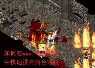 �����www.������Ϸ�п���������ɫ�ȼ���