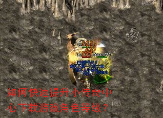 如何快速提升小传奇中心下载游戏角色等级? 如何快速提升小传奇中心下载游戏角色等级?