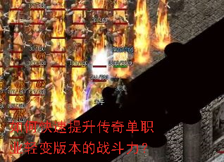 ��ο����������浥ְҵ���汾��ս������