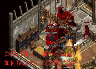 ������ѩ������ʲôװ���������ս���ȡ������⣿