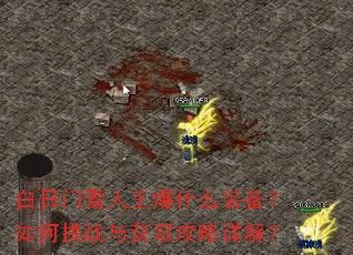������ѩ������ʲôװ���������ս���ȡ������⣿