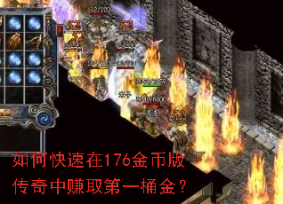 ��ο�����176��Ұ洫����׬ȡ��һͰ��