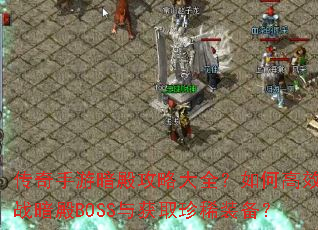 �������ΰ���Դ�ȫ����θ�Ч��ս����BOSS���ȡ��ϡװ����