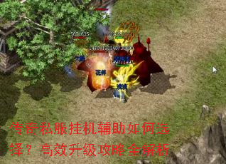 ����˽���һ��������ѡ�񣿸�Ч��������ȫ����
