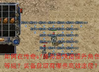 ����ڴ���sf����������������ɫ�ȼ���װ����ȡ����Щ��Ч;����