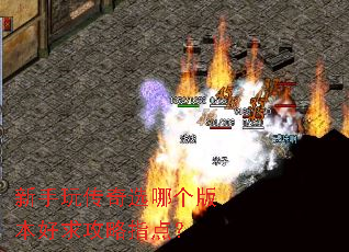 �����洫��ѡ�ĸ��汾������ָ�㣿