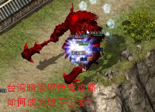 ̨�尵�ڽ紫�湥�ԣ���γ�Ϊ�������ߣ�