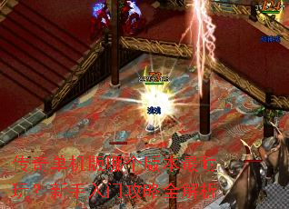 ���浥�����ĸ��汾�����棿�������Ź���ȫ����