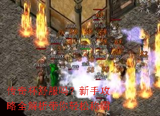 ���汭��������ֹ���ȫ�����������ɳư�