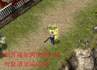 新开服如何快速升级与获取顶级装备? 新开服如何快速升级与获取顶级装备?