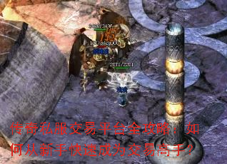 ����˽������ƽ̨ȫ���ԣ���δ����ֿ��ٳ�Ϊ���׸��֣�