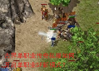 �Ž絥ְҵ����˽����ο�����ְҵSF��ģʽ��
