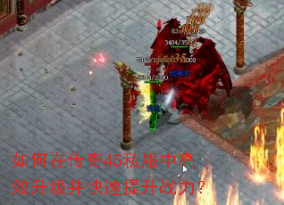����ڴ���45˽���и�Ч��������������ս����