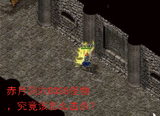 ���¶�ѨBOSS�����������ô��ɱ��