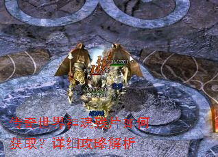 ������������Ƭ��λ�ȡ����ϸ���Խ���