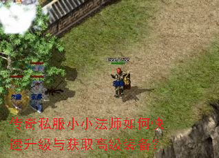传奇私服小小法师如何快速升级与获取高级装备? 传奇私服小小法师如何快速升级与获取高级装备?