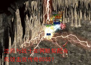 ��ʦ��սʿ���Ĭ����ϸ�Ч���ܴ���BOSS��