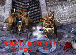 ���ڵ�ʿ��Ѫ�������ж����������������