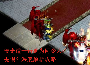 传奇道士带狗为何令人畏惧?深度解析攻略 传奇道士带狗为何令人畏惧?深度解析攻略