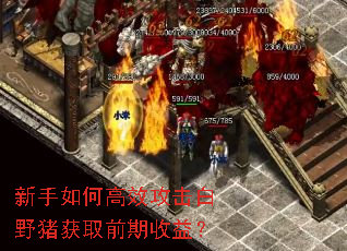 ������θ�Ч������Ұ����ȡǰ�����棿