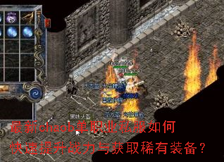 ����chaob��ְҵ˽����ο�������ս�����ȡϡ��װ����