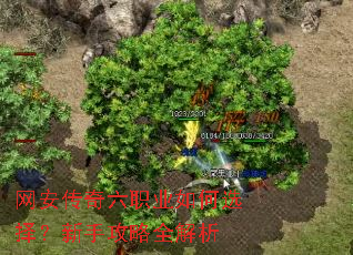 ����������ְҵ���ѡ�����ֹ���ȫ����