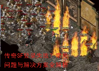 ����SF��¼ʧ�ܣ�����������������ȫ����
