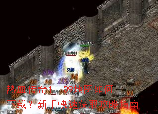 ��Ѫ����1..09��ͼ������أ����ֿ��ٻ�ȡ����ָ��