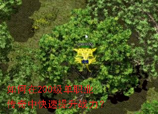 如何在200级单职业传奇中快速提升战力? 如何在200级单职业传奇中快速提升战力?