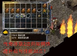 ��������2��ʦ��ο��������뼼�ܼӵ㣿