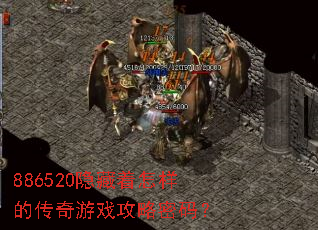 886520�����������Ĵ�����Ϸ�������룿