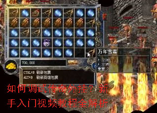 如何调试传奇外挂?新手入门视频教程全解析 如何调试传奇外挂?新手入门视频教程全解析
