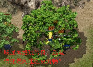 ��ͨ�����洫�棬ѡ���Ż�����ͨ����������