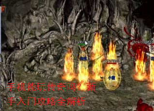 �ֻ����洫�����������Ź���ȫ����