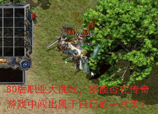 80��ְҵ����ս�����ܷ��ڴ�����Ϸ�д��������Լ���һƬ�죿