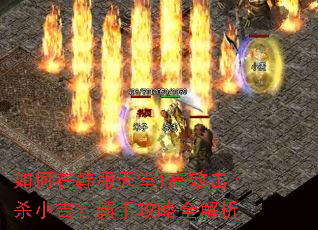 ����ں�������1��Ч��ɱС�������ֹ���ȫ����